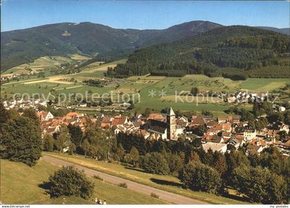 Elzach Panorama