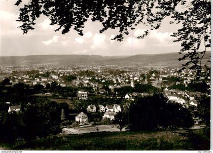 Erbach Odenwald Panorama