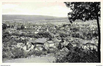 Erbach Odenwald Panorama