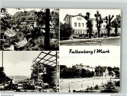 38135701 - Falkenberg , Mark