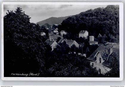 51220347 - Falkenberg , Mark