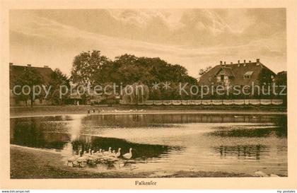 Falkensee Uferpartie am See Wasservoegel