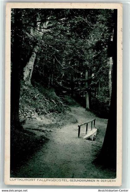 39511784 - Fallingbostel