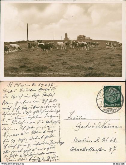 Ansichtskarte Feldberg (Schwarzwald) Feldberg (1500m) Schwarzwald Kühe 1941
