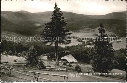 Baerental Feldberg Blick zum Feldberg