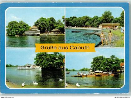 10230084 - Caputh