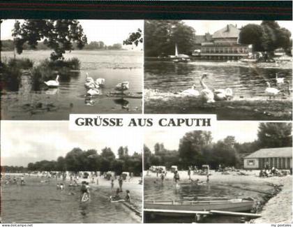 Caputh  x 1987