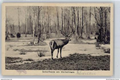 50418558 - Schorfheide