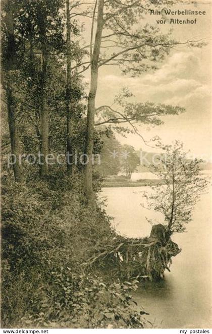 Altenhof Werbellinsee Seepanorama