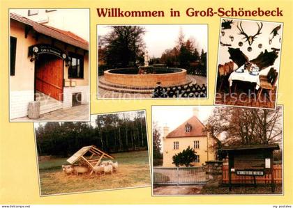 Gross Schoenebeck Gasthaus Zum Weissen Hirsch Brunnen Schafe