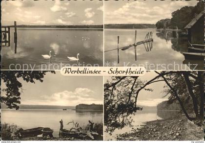 Schorfheide am Werbellinsee