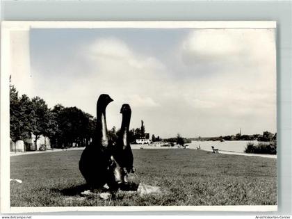 39886566 - Floersheim am Main