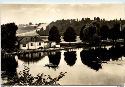 Frankenberg/Sa., Schilfteich