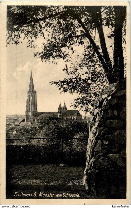 Freiburg - Münster