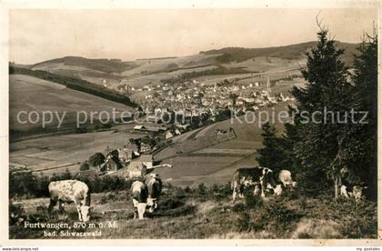 Furtwangen Panorama