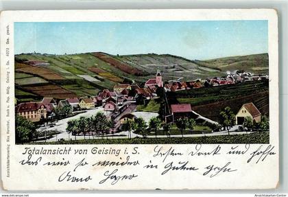 13196265 - Geising