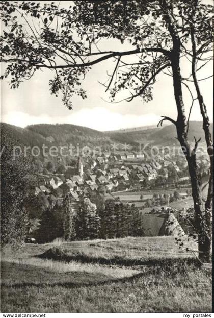 Geising Erzgebirge Blick auf Geising