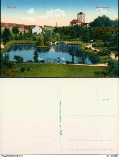 Ansichtskarte Geithain Schwanenteich 1915
