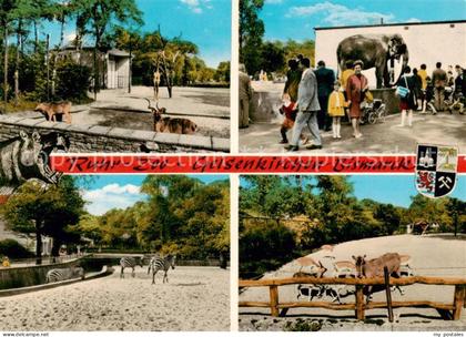 GELSENKIRCHEN NRW Ruhr Zoo Gelsenkirchen Bismarck Teilansichten