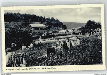 51290906 - Gemuenden a. Main