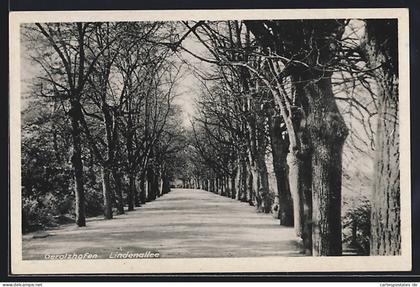 AK Gerolzhofen, Blick in die Lindenallee