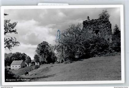 50838708 - Boerninghausen