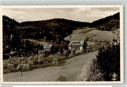 10310079 - Glottertal