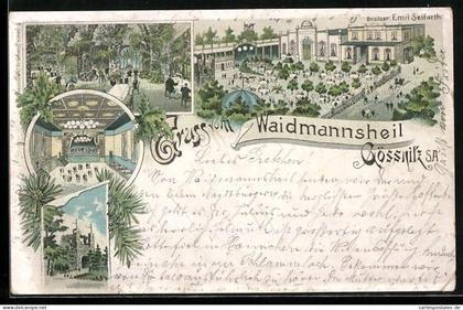 Lithographie Gössnitz / S.-A., Gasthaus Waidmannsheil, Bes. Emil Seifarth