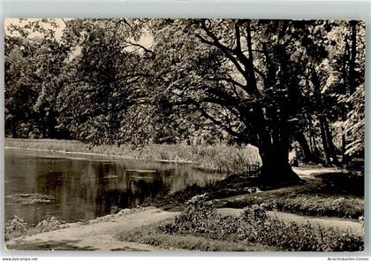 39452900 - Golssen