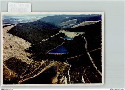 40031448 - Auerhahn , Oberharz