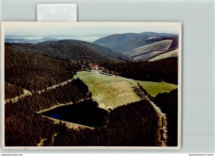 40031449 - Auerhahn , Oberharz