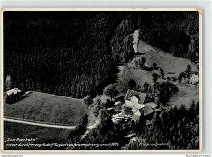 52254581 - Auerhahn , Oberharz