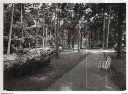 AK 261122 GERMANY - Graal-Müritz - Parkanlagen