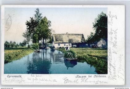 50825217 - Kaupen , Spreewald