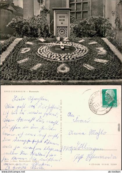 Großenhain Blumenuhr  Ansichtskarte 1966