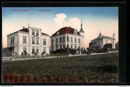 AK Grossröhrsdorf, Adolfstrasse mit Bäumen