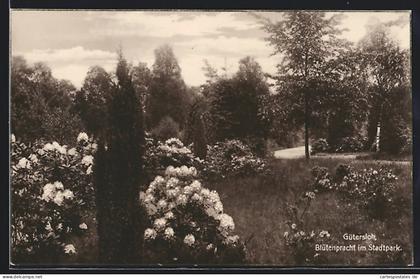 AK Gütersloh, Blütenpracht im Stadtpark