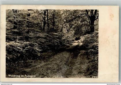 38004484 - Neuhaldensleben OT Haldensleben