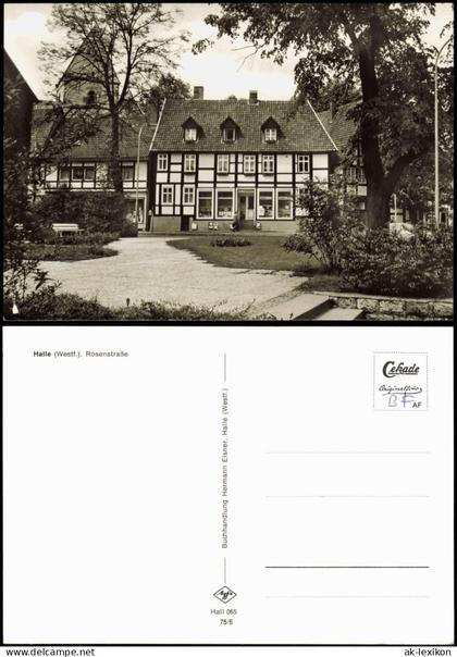 Ansichtskarte Halle (Westfalen) Rosenstraße 1975