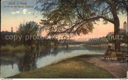 Halle Saale Partie an der Saale Peissnitz