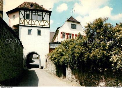 Steinheim Main Maintor
