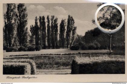 55093016 - Harzgerode