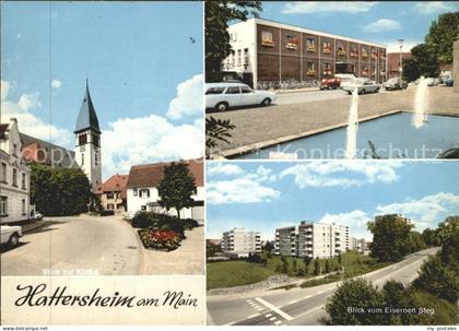 Hattersheim Main Blick vom Eisernen Steg