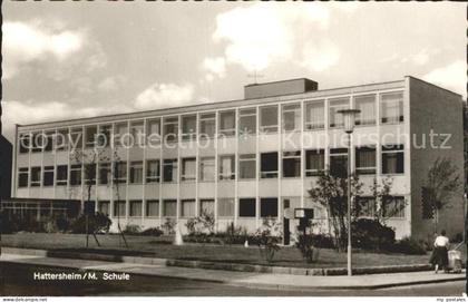 Hattersheim Main Schule