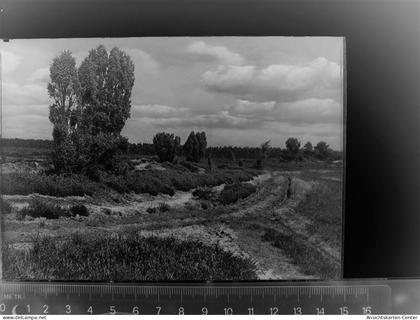 30084431 - Heide , Holst