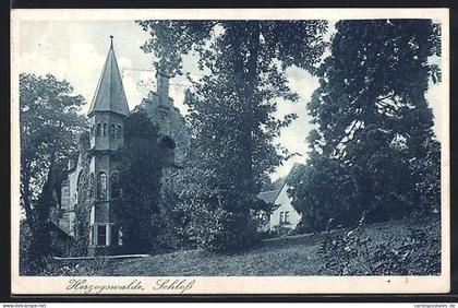 AK Herzogswalde, Schloss