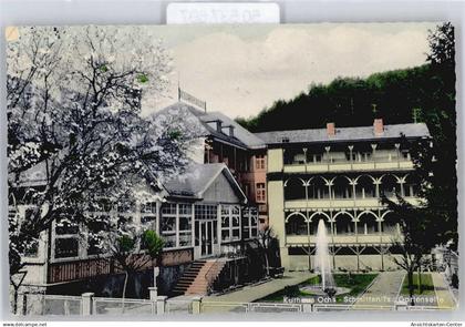 50537697 - Schmitten , Taunus
