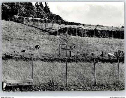 50975106 - Kirchheim , Hess