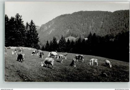 39658047 - Hinterzarten