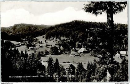 51762187 - Hinterzarten